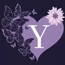 beautiful y letter dp